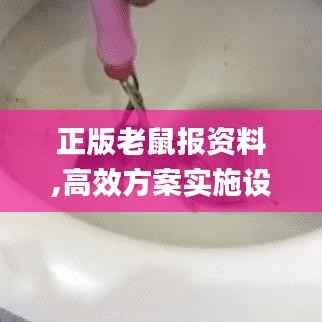 正版老鼠报资料,高效方案实施设计_ios55.229-7