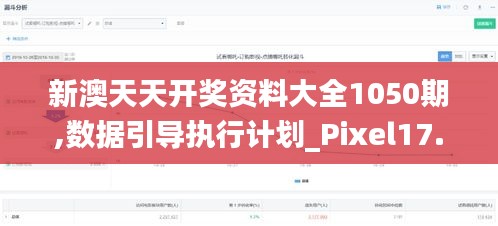 新澳天天开奖资料大全1050期,数据引导执行计划_Pixel17.942