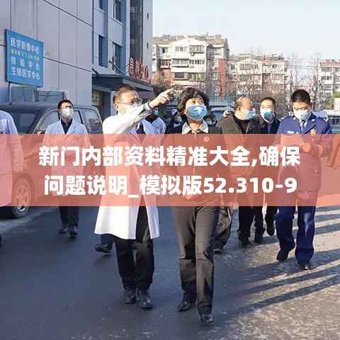 新门内部资料精准大全,确保问题说明_模拟版52.310-9