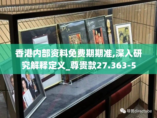 香港内部资料免费期期准,深入研究解释定义_尊贵款27.363-5