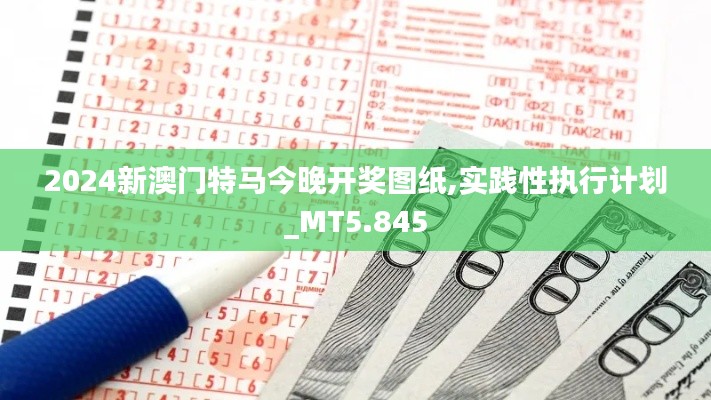 2024新澳门特马今晚开奖图纸,实践性执行计划_MT5.845