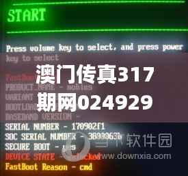 澳门传真317期网024929,持续计划解析_网页款63.318-7