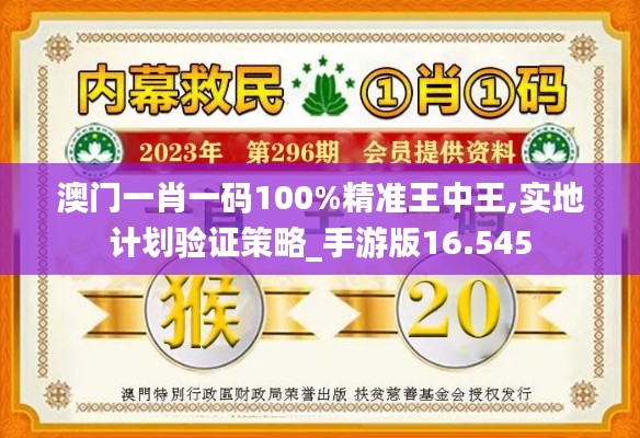 澳门一肖一码100%精准王中王,实地计划验证策略_手游版16.545