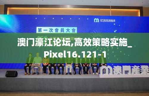 澳门濠江论坛,高效策略实施_Pixel16.121-1