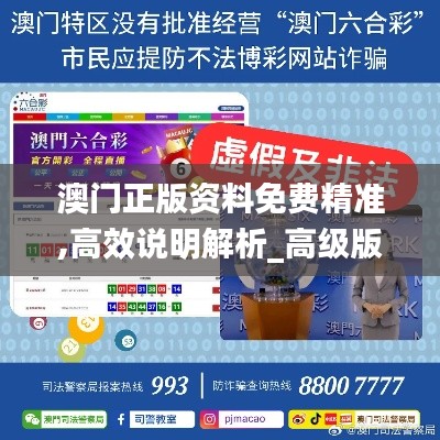 澳门正版资料免费精准,高效说明解析_高级版1.247