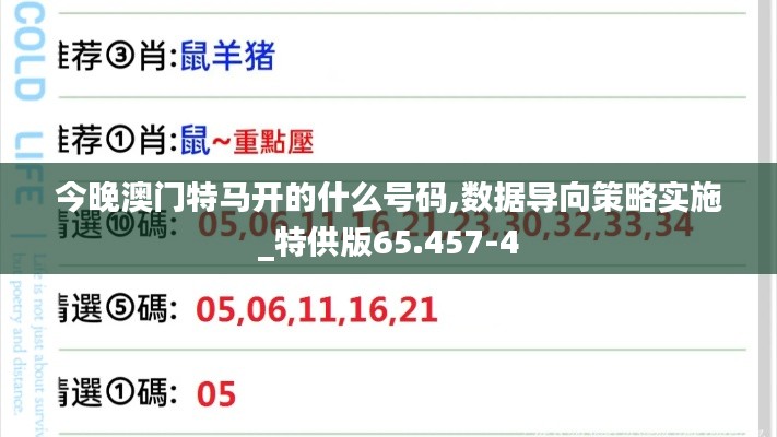 今晚澳门特马开的什么号码,数据导向策略实施_特供版65.457-4