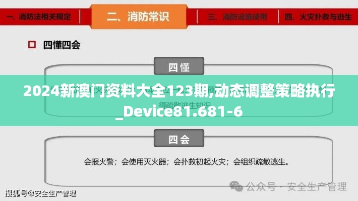 2024新澳门资料大全123期,动态调整策略执行_Device81.681-6