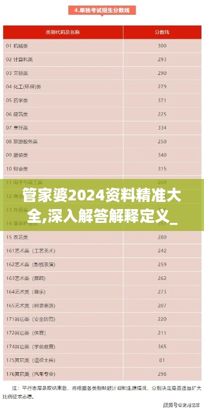 管家婆2024资料精准大全,深入解答解释定义_DP5.595
