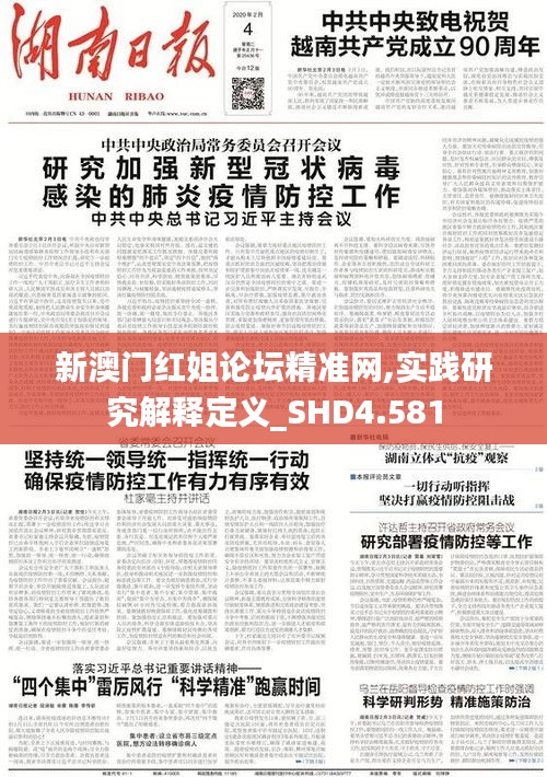 新澳门红姐论坛精准网,实践研究解释定义_SHD4.581