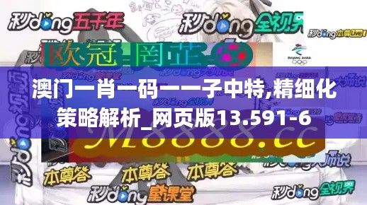 澳门一肖一码一一子中特,精细化策略解析_网页版13.591-6