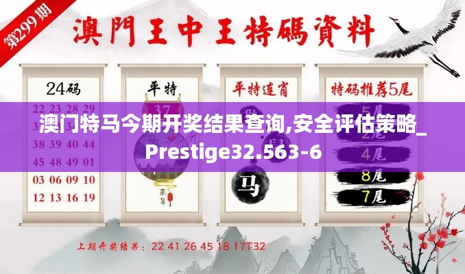 澳门特马今期开奖结果查询,安全评估策略_Prestige32.563-6