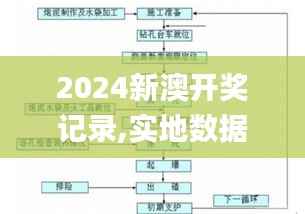 2024新澳开奖记录,实地数据评估解析_交互版94.829-3