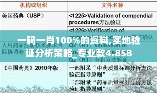 一码一肖100%的资料,实地验证分析策略_专业款4.858