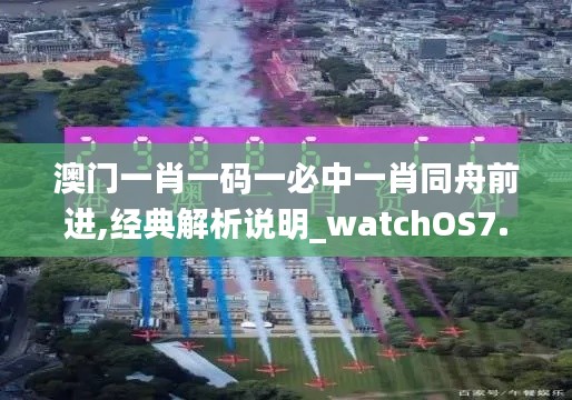 澳门一肖一码一必中一肖同舟前进,经典解析说明_watchOS7.209