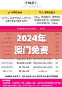 2024年澳门免费资料大全,迅速设计执行方案_铂金版5.363