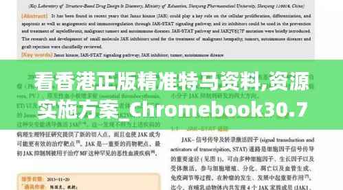 看香港正版精准特马资料,资源实施方案_Chromebook30.705-3