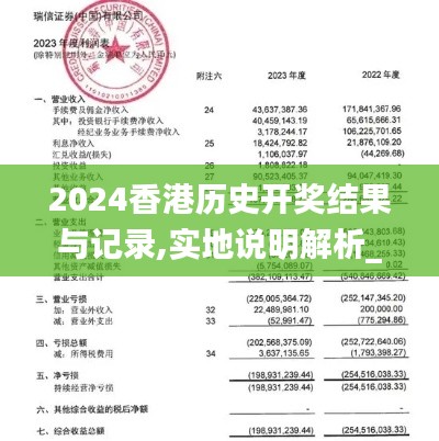 2024香港历史开奖结果与记录,实地说明解析_探索版85.931-5