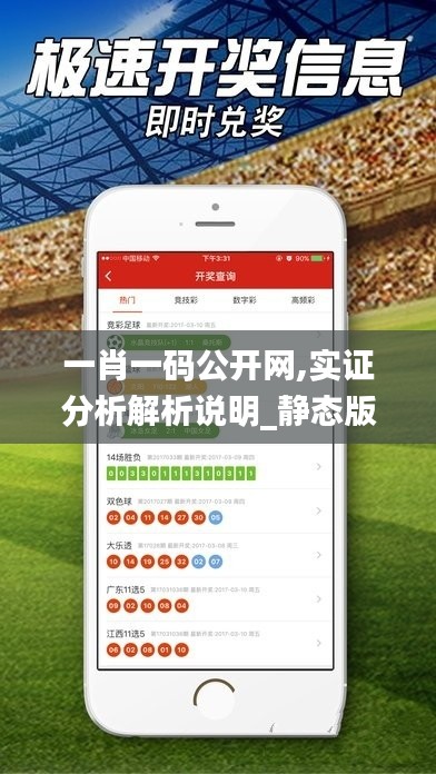 一肖一码公开网,实证分析解析说明_静态版40.534-1