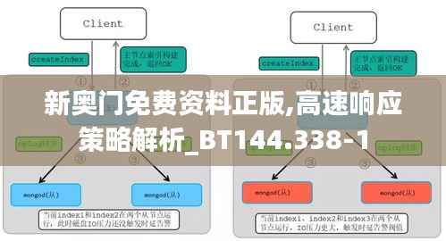 新奥门免费资料正版,高速响应策略解析_BT144.338-1