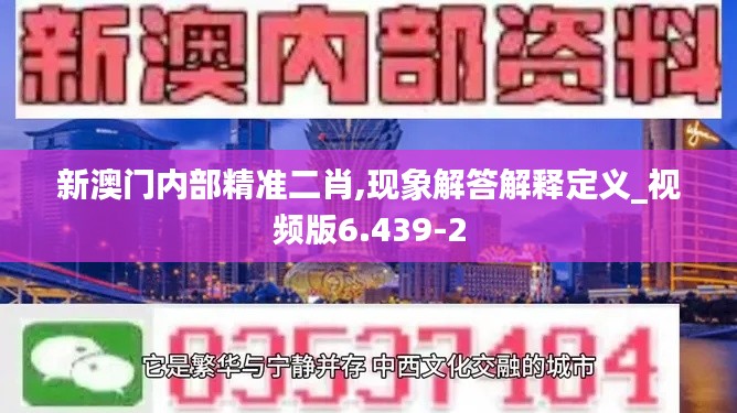 新澳门内部精准二肖,现象解答解释定义_视频版6.439-2