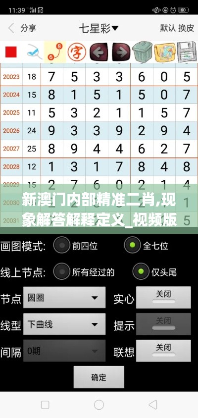 新澳门内部精准二肖,现象解答解释定义_视频版6.439-2