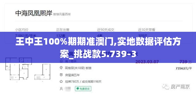 王中王100%期期准澳门,实地数据评估方案_挑战款5.739-3