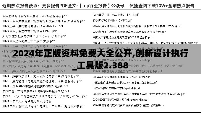 2024年正版资料免费大全公开,创新设计执行_工具版2.388