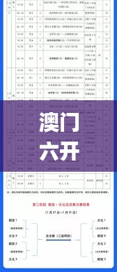 澳门六开奖结果2024开奖记录今晚,定制化执行方案分析_Nexus5.463