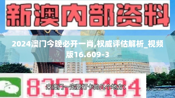 2024澳门今晚必开一肖,权威评估解析_视频版16.609-3