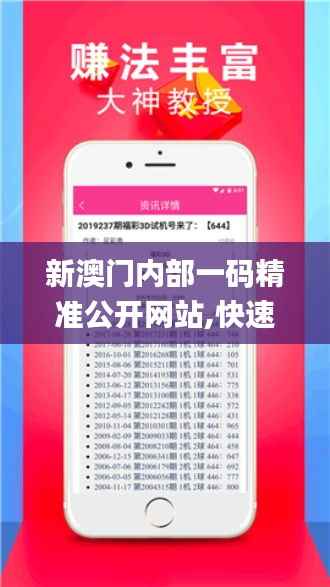 新澳门内部一码精准公开网站,快速响应策略解析_尊贵款12.310-1