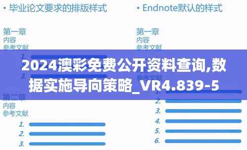 2024澳彩免费公开资料查询,数据实施导向策略_VR4.839-5