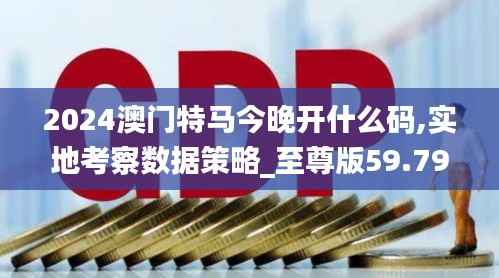 2024澳门特马今晚开什么码,实地考察数据策略_至尊版59.797-7