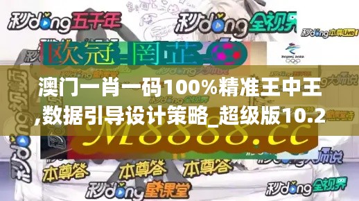 澳门一肖一码100%精准王中王,数据引导设计策略_超级版10.203