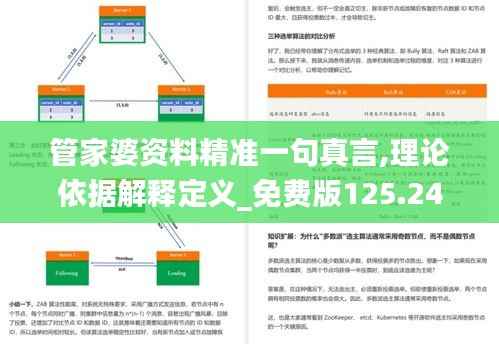 管家婆资料精准一句真言,理论依据解释定义_免费版125.240-9