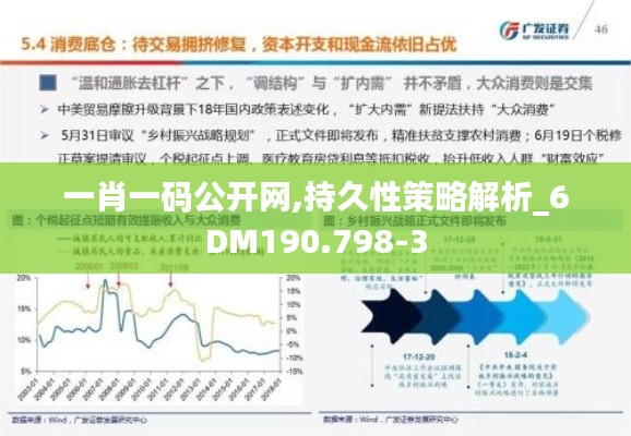 一肖一码公开网,持久性策略解析_6DM190.798-3