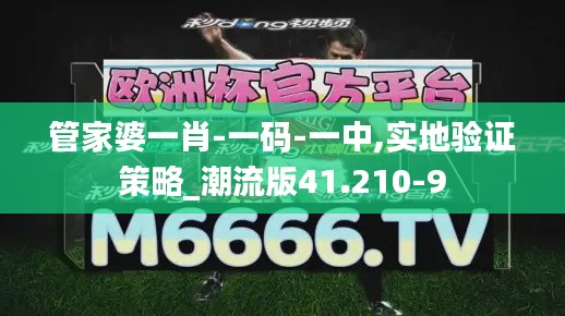 管家婆一肖-一码-一中,实地验证策略_潮流版41.210-9
