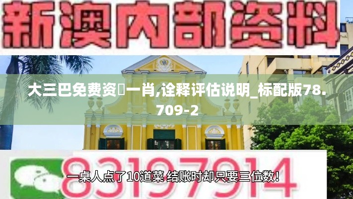 大三巴免费资枓一肖,诠释评估说明_标配版78.709-2