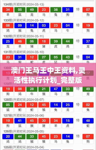 澳门王马王中王资料,灵活性执行计划_完整版53.638-2