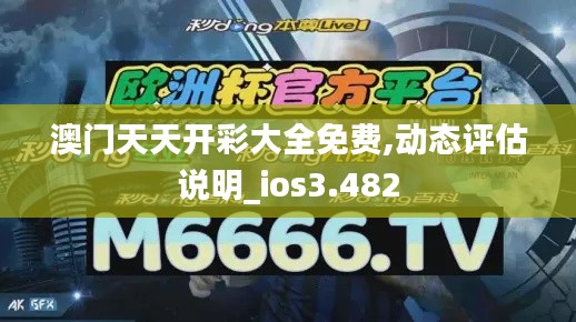 澳门天天开彩大全免费,动态评估说明_ios3.482