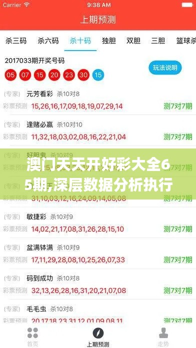 澳门天天开好彩大全65期,深层数据分析执行_VE版7.438