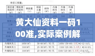 黄大仙资料一码100准,实际案例解析说明_特别款10.945