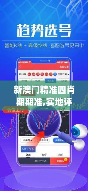 新澳门精准四肖期期准,实地评估解析说明_OP3.784