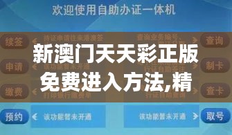 新澳门天天彩正版免费进入方法,精细化策略解析_PalmOS7.195