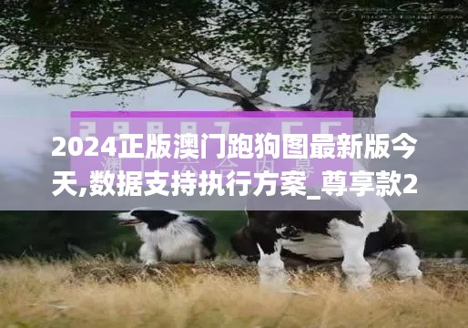 2024正版澳门跑狗图最新版今天,数据支持执行方案_尊享款23.791-1