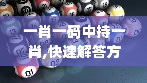 一肖一码中持一肖,快速解答方案解析_经典版2.147