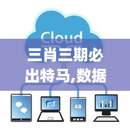 三肖三期必出特马,数据整合设计解析_nShop9.549