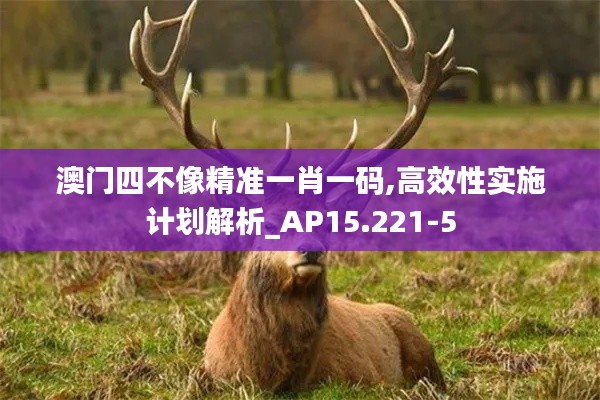 澳门四不像精准一肖一码,高效性实施计划解析_AP15.221-5