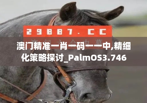 澳门精准一肖一码一一中,精细化策略探讨_PalmOS3.746