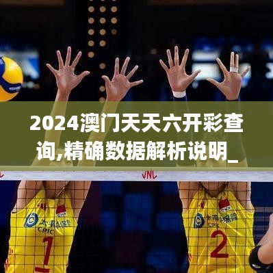 2024澳门天天六开彩查询,精确数据解析说明_set9.377
