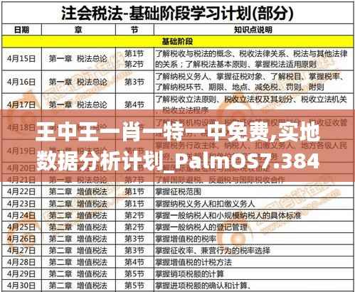 王中王一肖一特一中免费,实地数据分析计划_PalmOS7.384-6